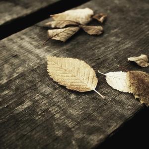 挤奶师视频🔞🈲男男
